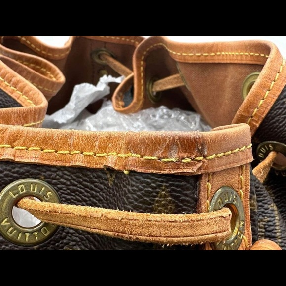 Petit Noe - Picture 4 of 10